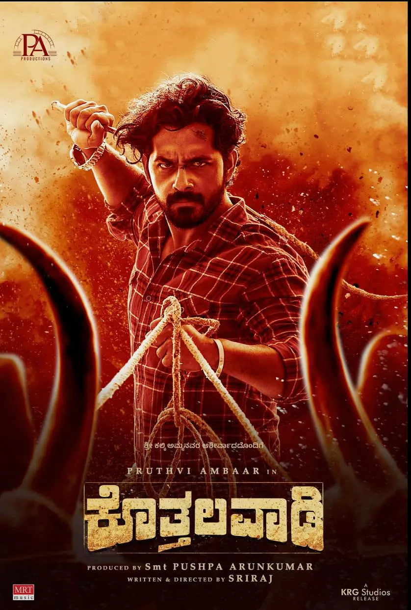 沙村传奇(全集)