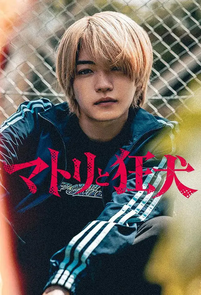 缉毒警与疯犬(全集)