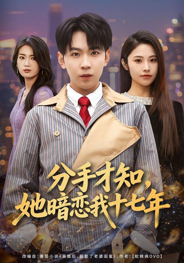 分手才知，她暗恋我十七年(全集)